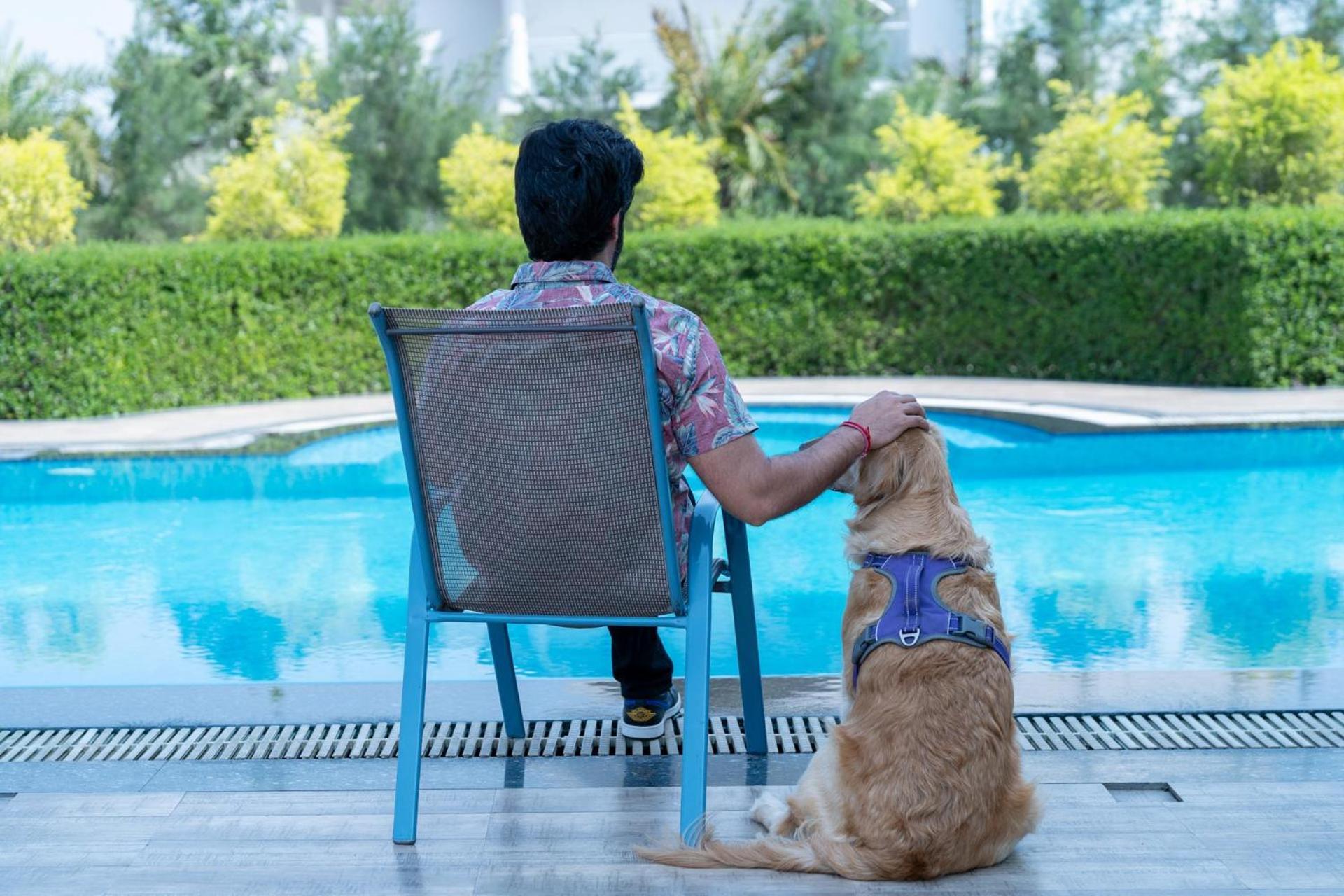 Stayvista At Le Blanc Escape W Outdoor Pool Sohna エクステリア 写真